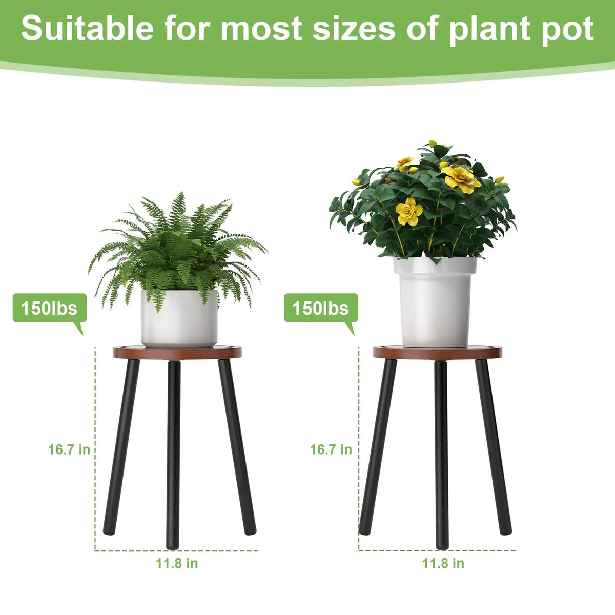 2-Pack Wood Plant Stands