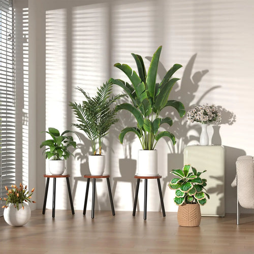 2-Pack Wood Plant Stands
