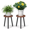 2-Pack Wood Plant Stands