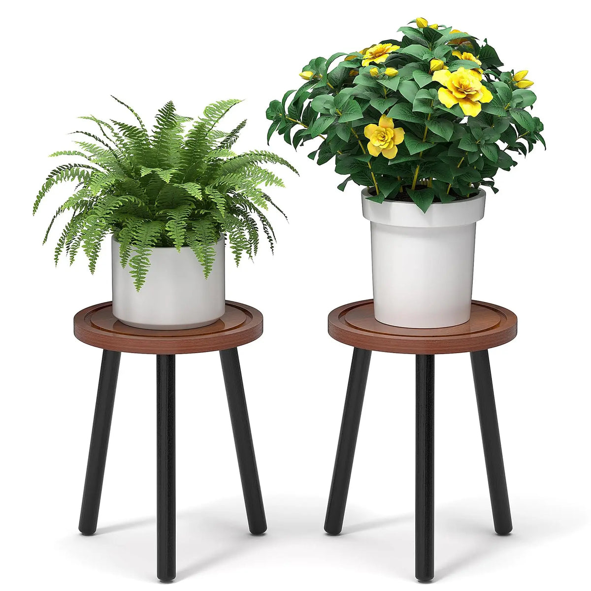 2-Pack Wood Plant Stands