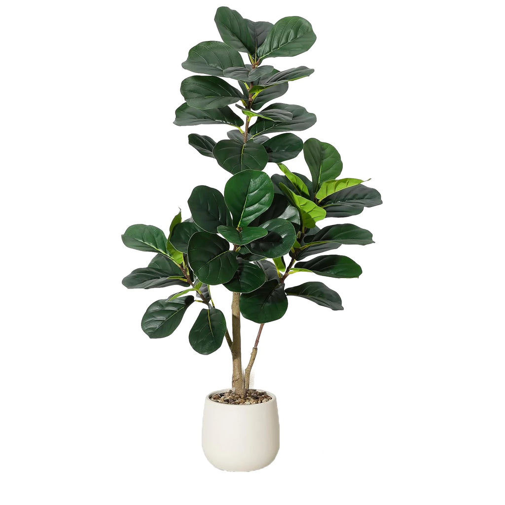 4-7 FT Fiddle Leaf Fig Tree