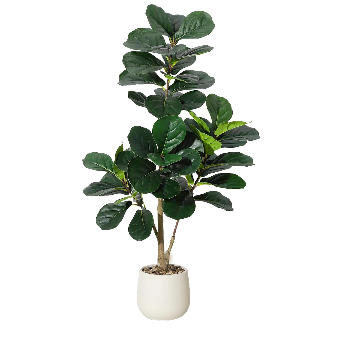4-7 FT Fiddle Leaf Fig Tree