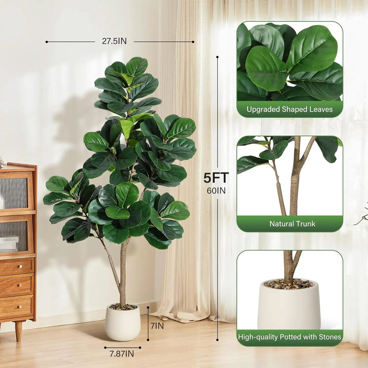 4-7 FT Fiddle Leaf Fig Tree