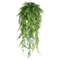 Persian Fern Leaves Vines