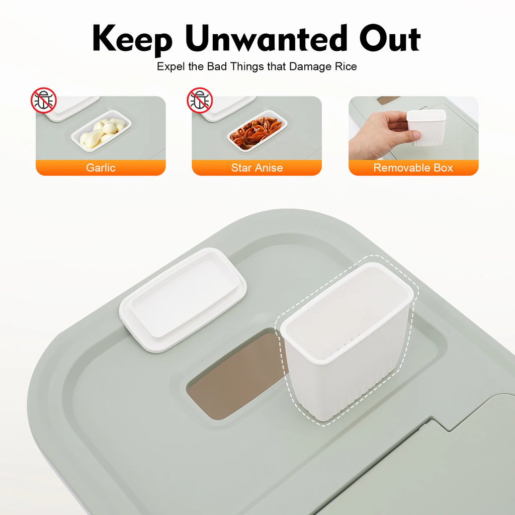 Large Food Storage Container