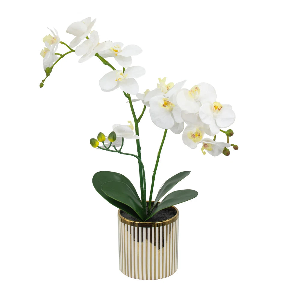 Artificial White Orchid in Gold Striped Pot