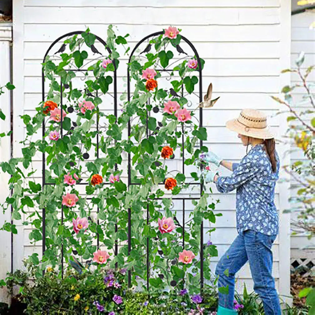 Metal Garden Trellis