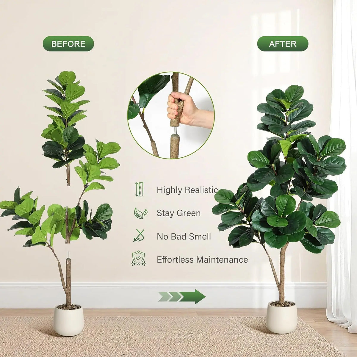 4-7 FT Fiddle Leaf Fig Tree
