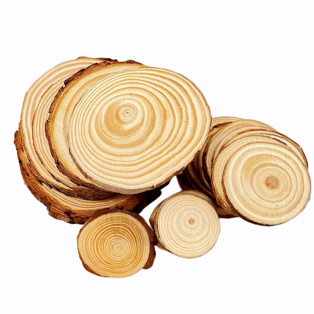 Natural Pine Round Wood Slices