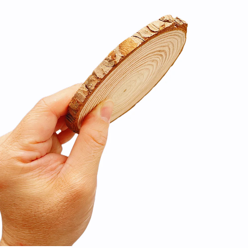 Natural Pine Round Wood Slices