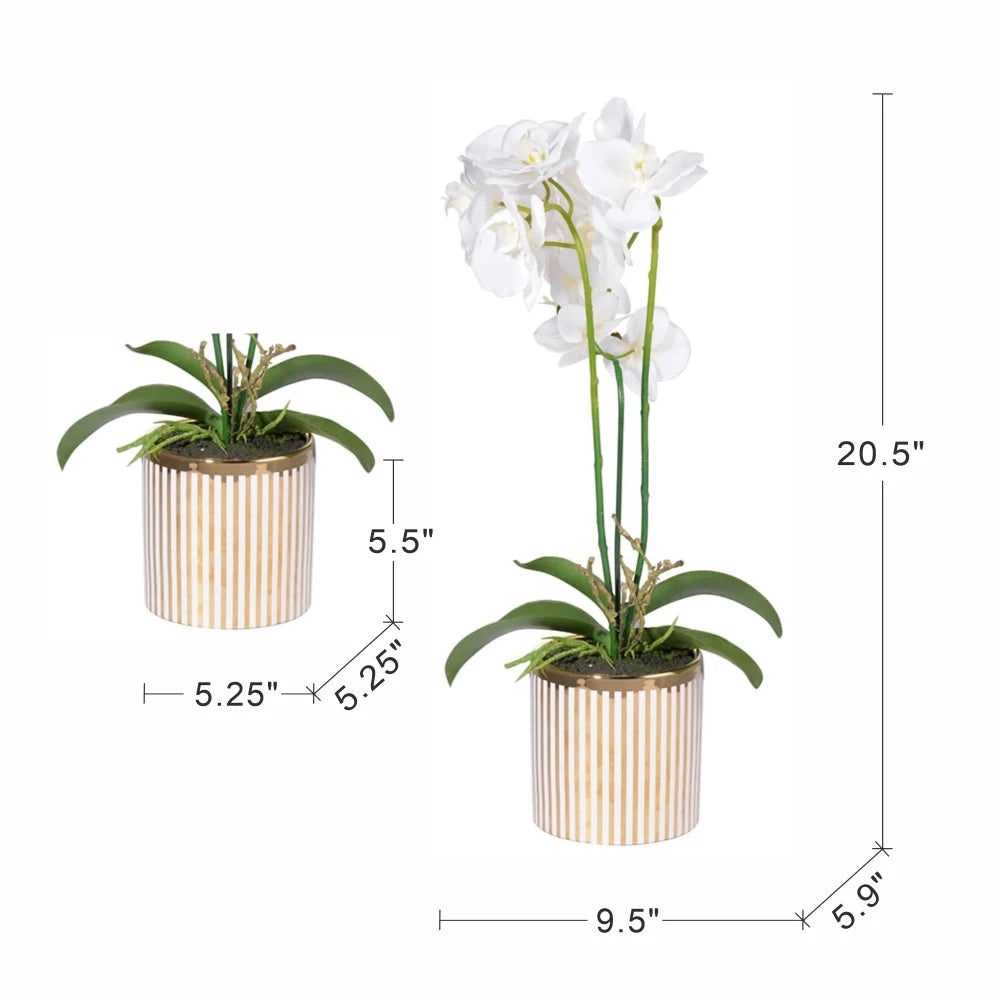 Artificial White Orchid in Gold Striped Pot