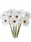 Artificial African Daisies