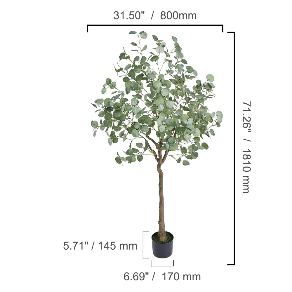 6 FT Eucalyptus Tree