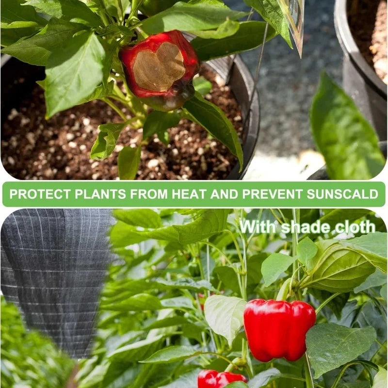 The Quick-Install Sunshade Net