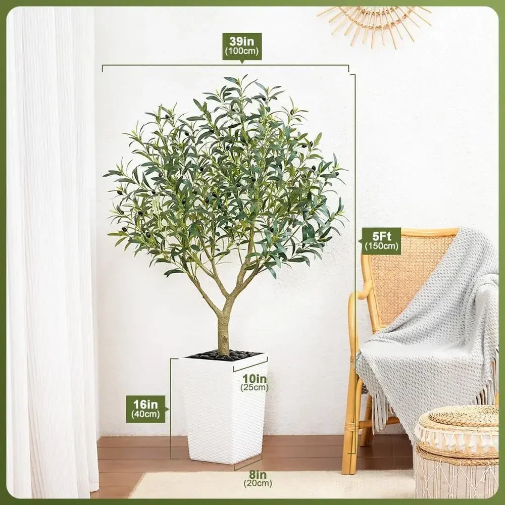 UV-Resistant Tall Olive Tree