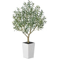 UV-Resistant Tall Olive Tree