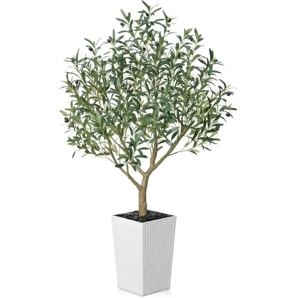 UV-Resistant Tall Olive Tree