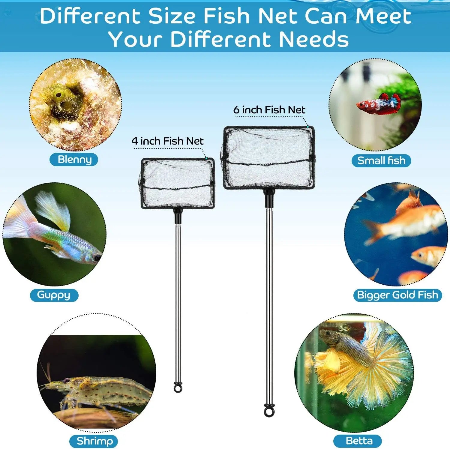 Fish Tank Net