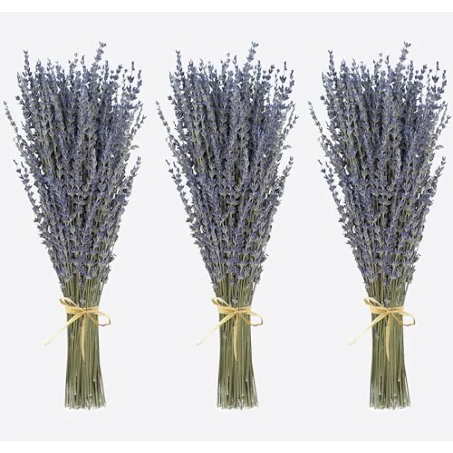 Dried Natural Purple Bouquet Flowers
