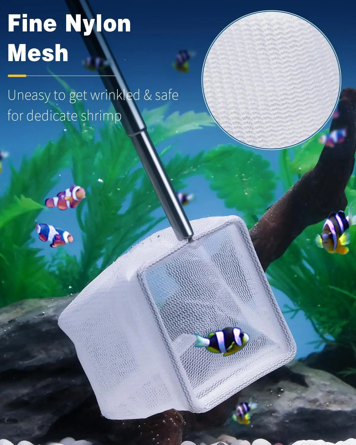 Aquarium Net