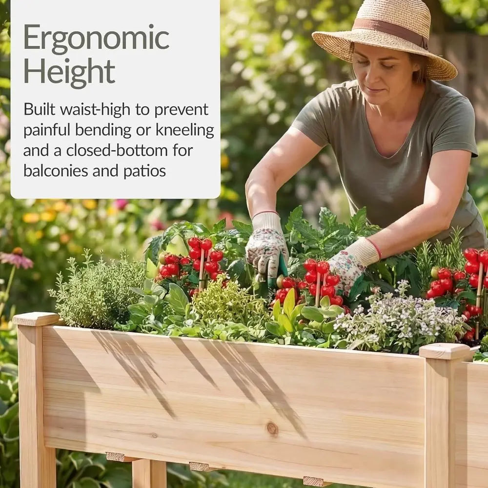 Raised Garden Bed