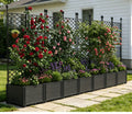 Raised Garden Bed Planter Box with Trellis