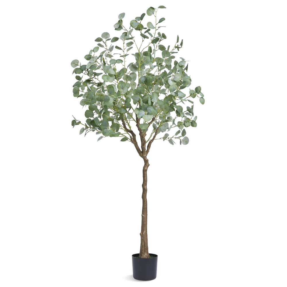 6 FT Eucalyptus Tree