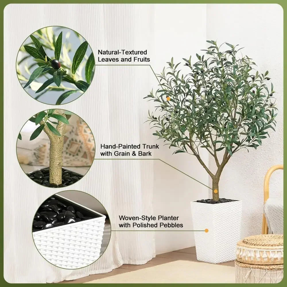 UV-Resistant Tall Olive Tree