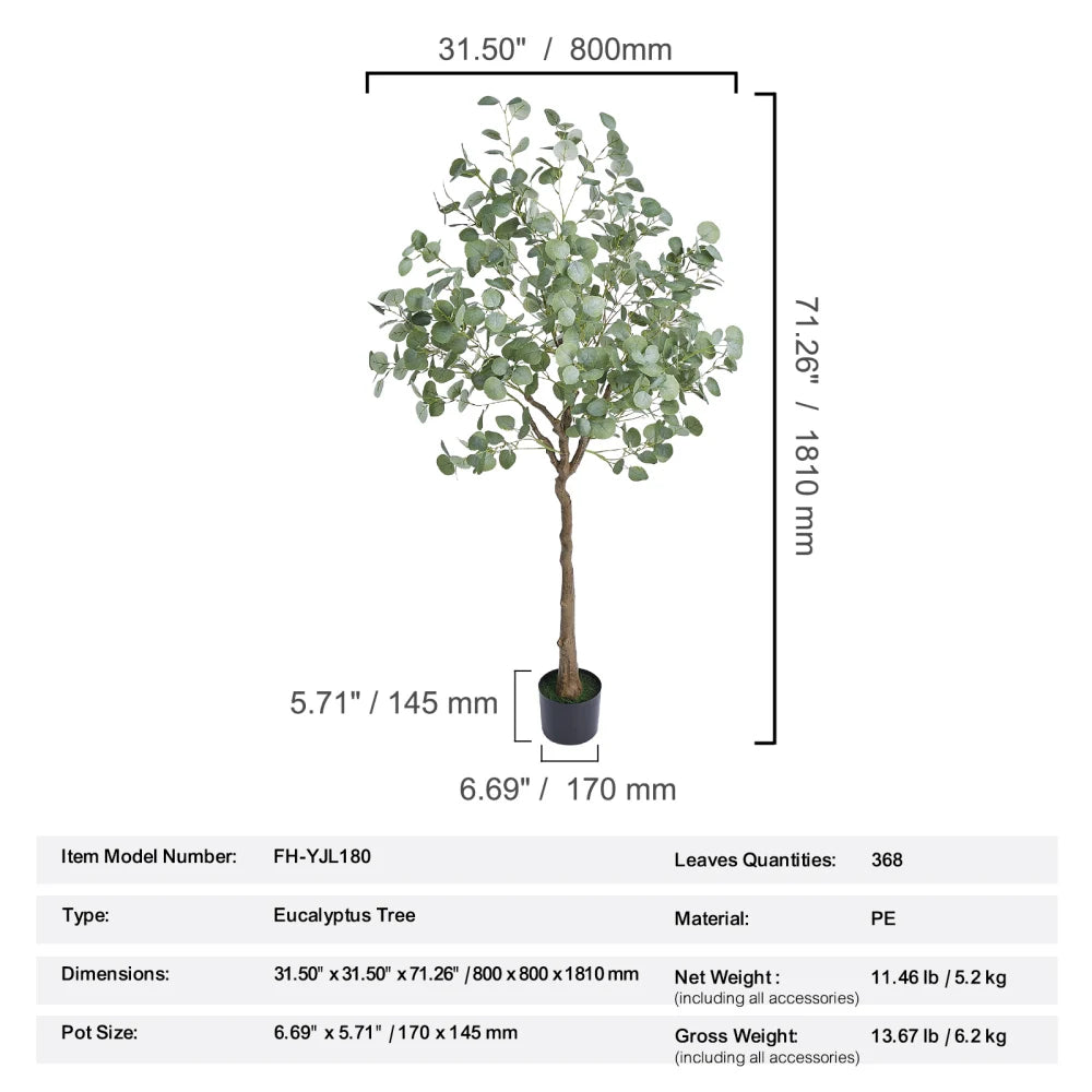 6 FT Eucalyptus Tree