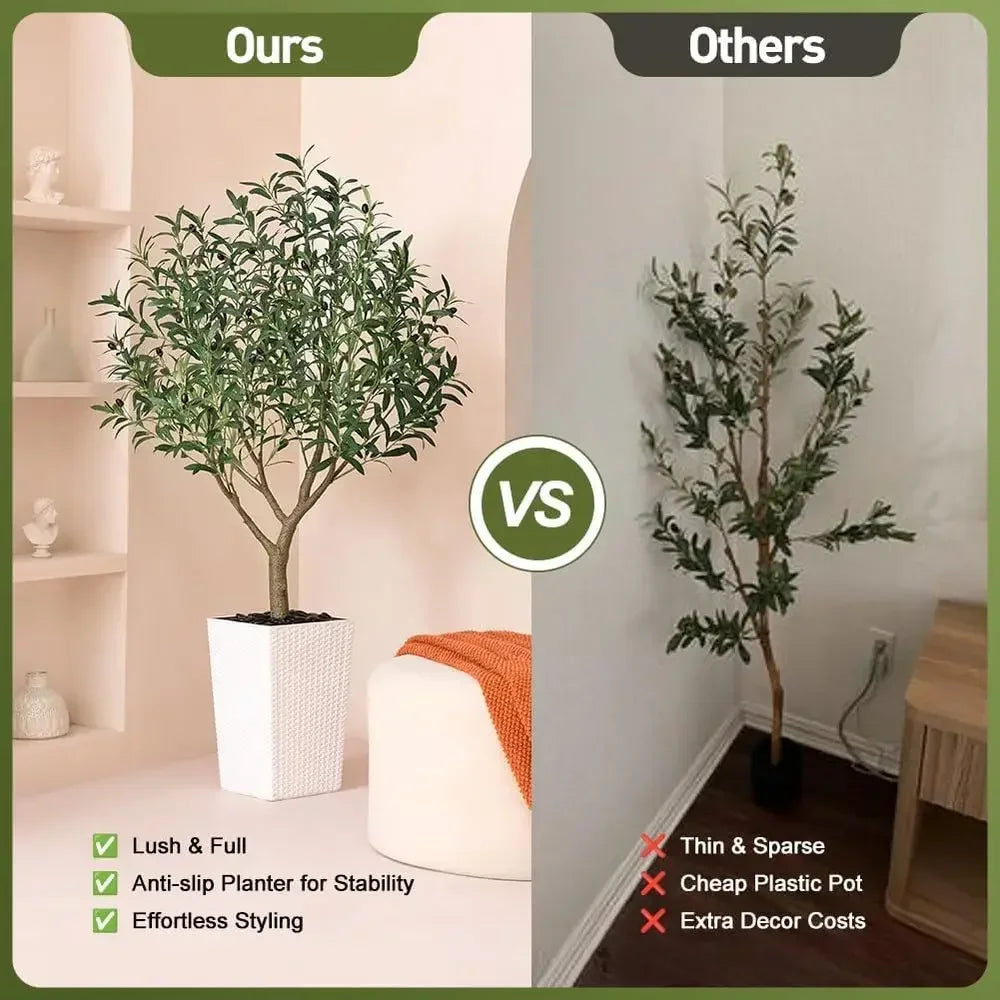 UV-Resistant Tall Olive Tree