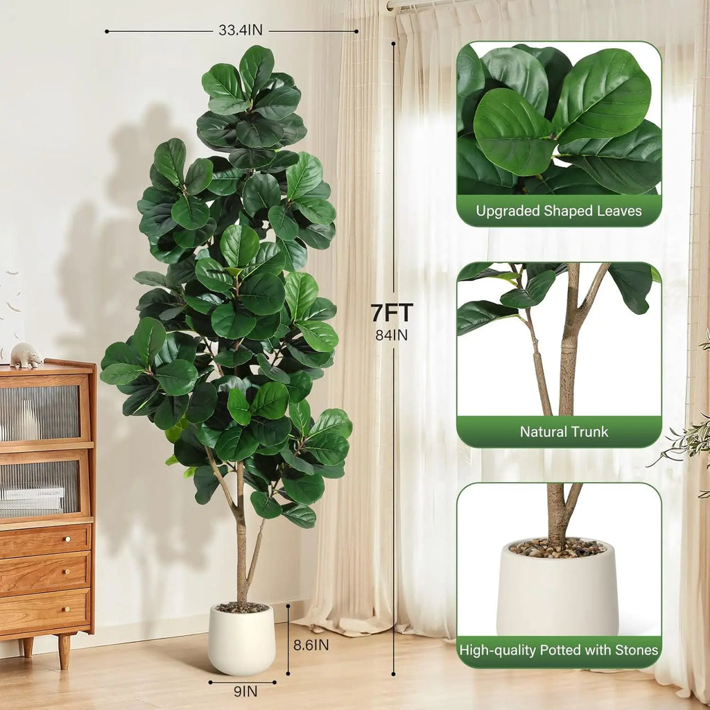 4-7 FT Fiddle Leaf Fig Tree