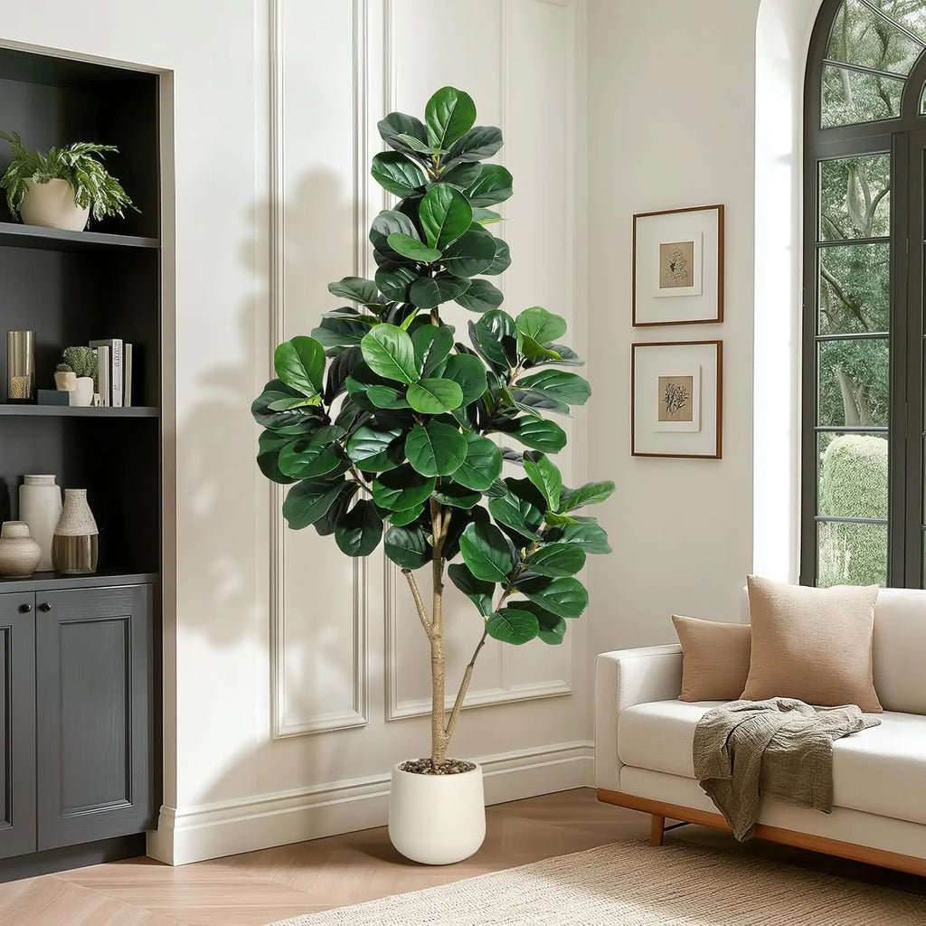 4-7 FT Fiddle Leaf Fig Tree