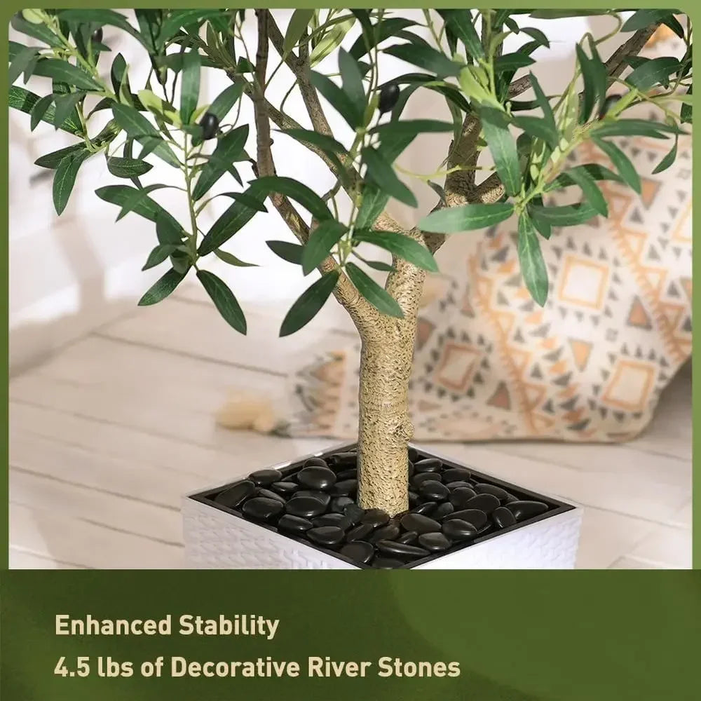 UV-Resistant Tall Olive Tree