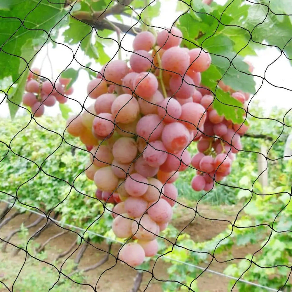 Heavy Duty Bird Netting