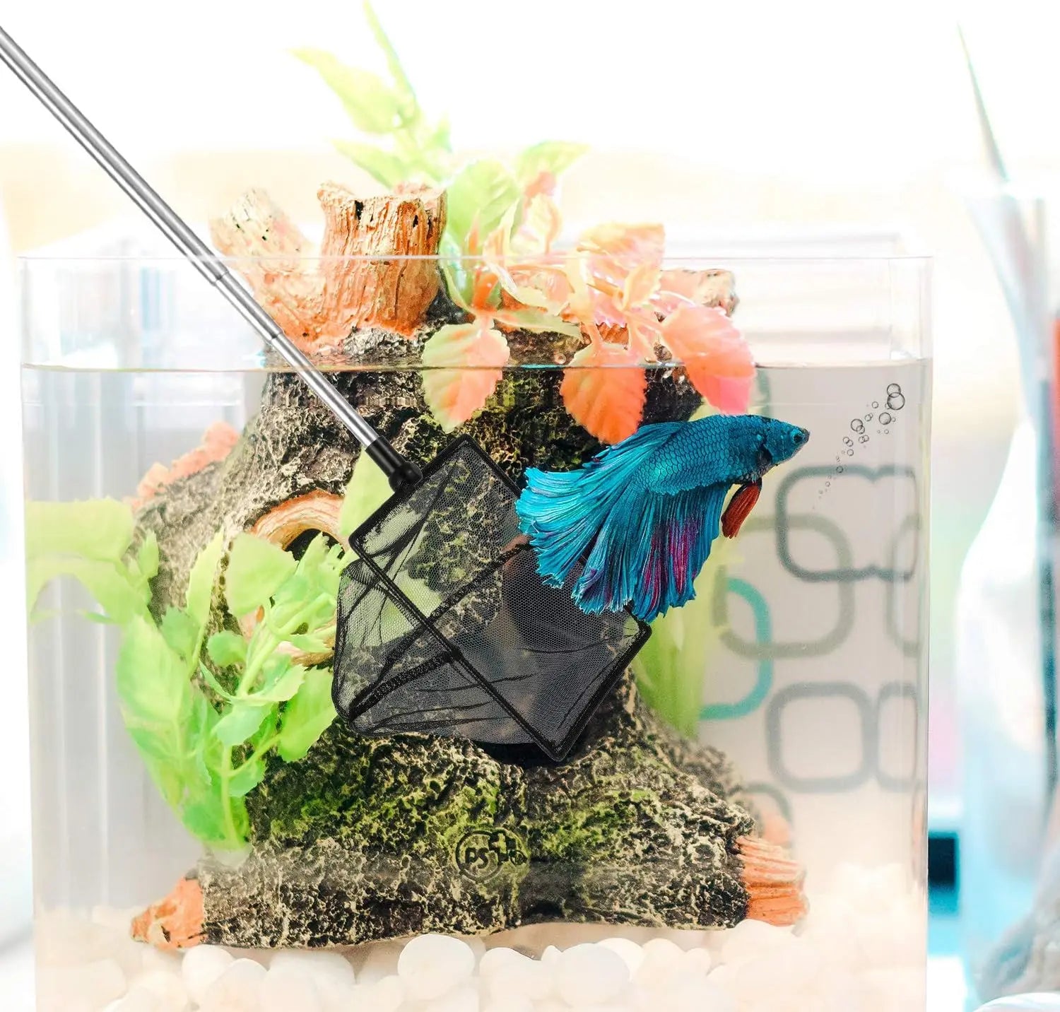 Fish Tank Net