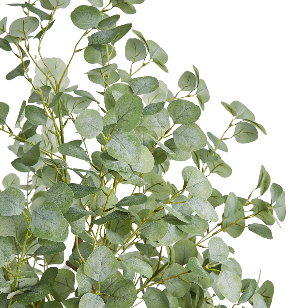 6 FT Eucalyptus Tree