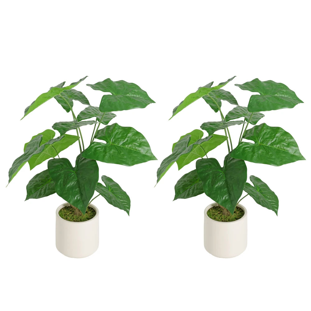 Artificial Tropical Alocasia Leaf Plant