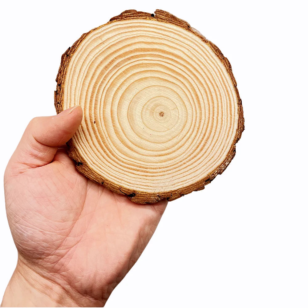 Natural Pine Round Wood Slices