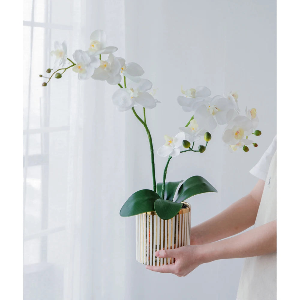 Artificial White Orchid in Gold Striped Pot