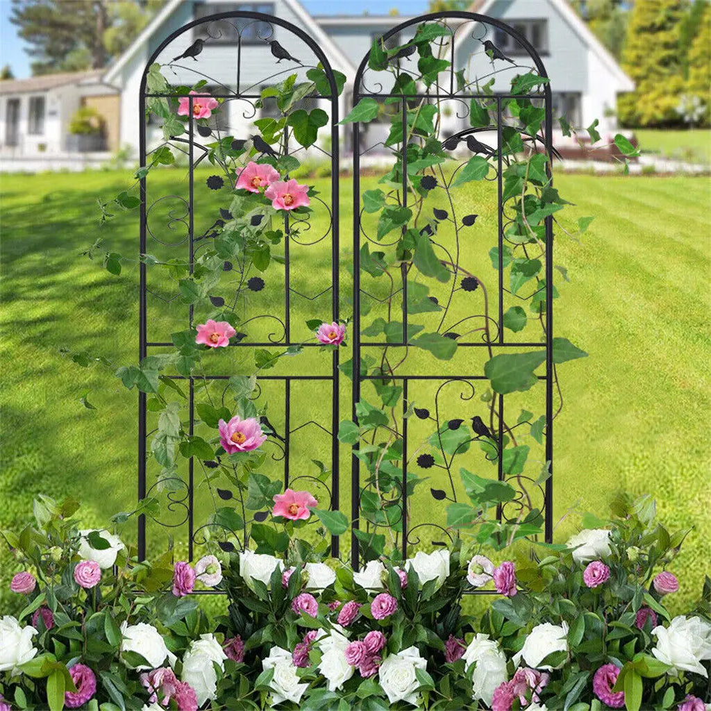Metal Garden Trellis