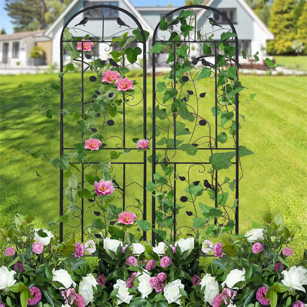 Metal Garden Trellis